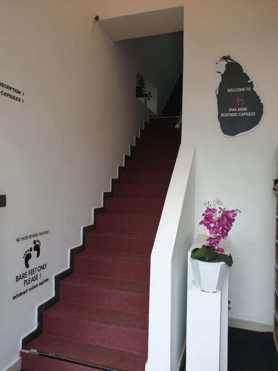 Star Anise Boutique Capsules Otel Kolombo Dış mekan fotoğraf